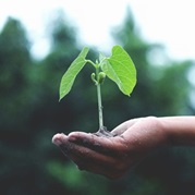Implementation Implementation